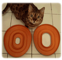 “Litter Kwitter” - оригинальная система для приучения кошки к туалету.
