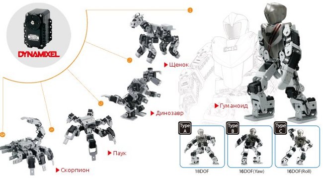 Чем отличаются роботы-конструкторы от обычных роботов и конструкторов?