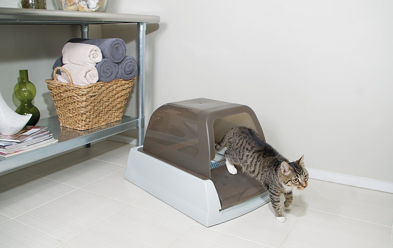 Обзор-отзыв автоматического туалета для кошек PetSafe ScoopFree Ultra