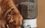 Большая автоматическая кормушка Feed-Ex для домашних животных для сухого корма