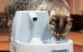 Питьевые фонтанчики и поилки для кошек Drinkwell